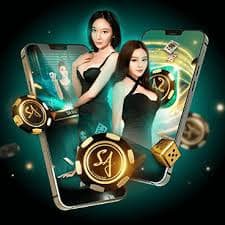 8 bet login