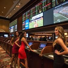 8 bet login
